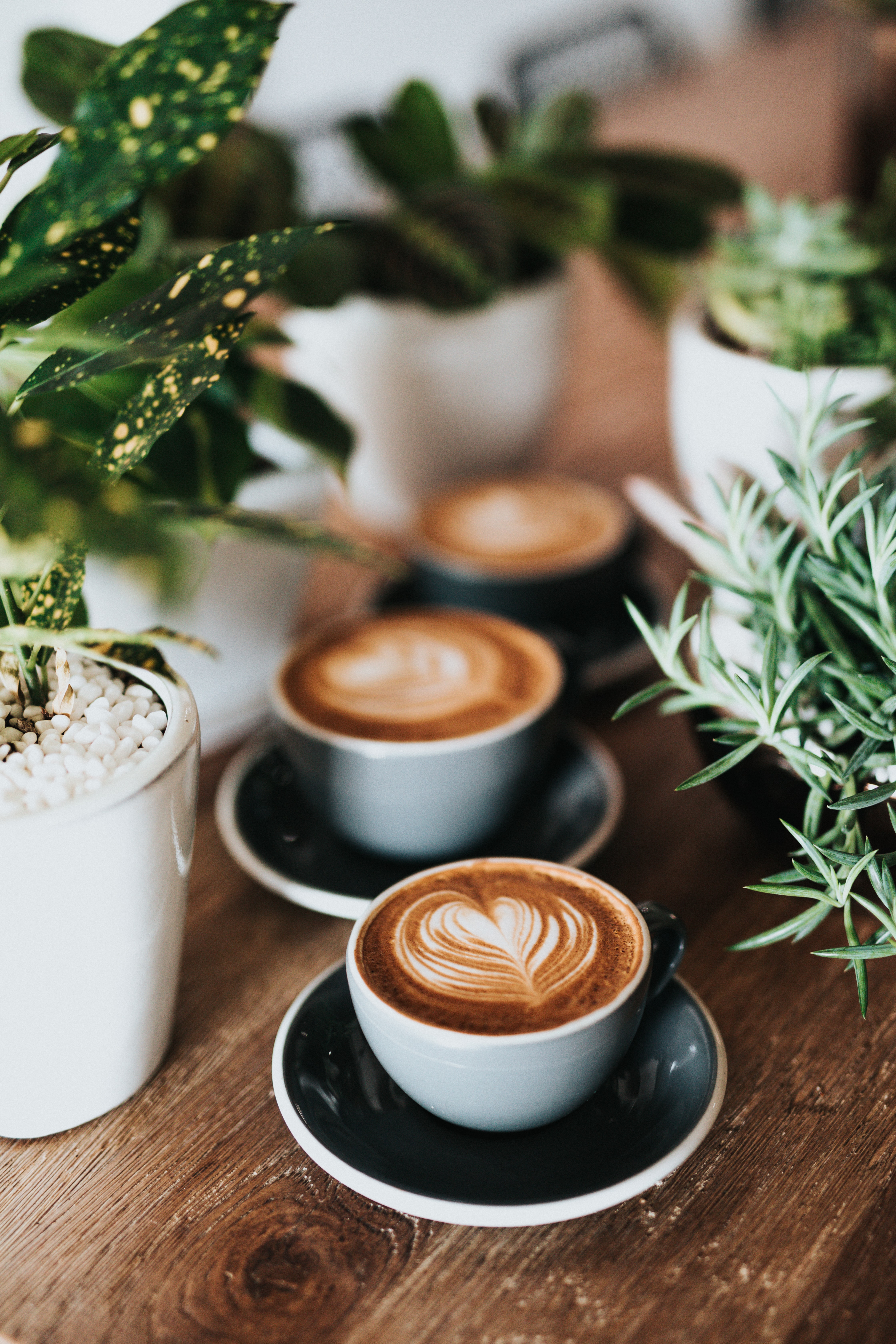 latte with heart latte art